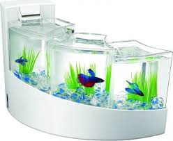 Aqueon betta falls is a top selling option in the middle of the aquarium kits price range. Aqueon Kit Betta Falls Pet Supplies Aquariums Tanks Aimsresearch Com Au