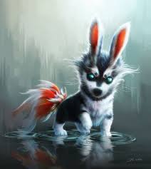 If you want to come up with exciting ideas or motivate yourself to improve your animal photography, this is the best place to start. Husky Rabbit Hybrid Rocky Fantasy Animals Adoption Center Really Cool Animals