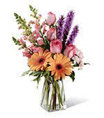 Check spelling or type a new query. Flowers To The University Of Texas M D Anderson Cancer Center Houston Texas Tx Same Day Delivery To Campus And Dormitories By A Local Florist In Houston