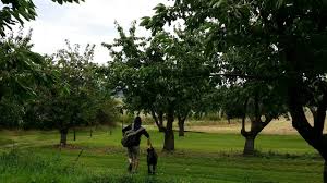 Bad hersfeld is a town in north hesse that hersfeld is known across germany for the bad hersfelder festspiele (festival). Bekanntschaften Bad Hersfeld Bekanntschaften Im Internet Finden