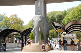 ãå¤æ©åç©åãã®ç»åæ¤ç´¢çµæ