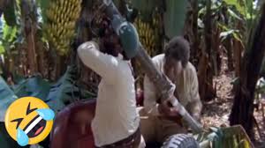 Discover savings on gods must be crazy & more. The Gods Must Be Crazy 1980 Funny Clip Youtube