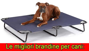 Tatami brandina per cani tatami brandina ha una base in legno che garantische una perfetta postura al cane durante struttra in legno a doghe. Brandine Per Cani Di Taglia Grande Con Doghe Brandina Per Cani Relax Al Miglior Prezzo Su Zooplus Williams Usety1973