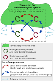 Interface Processes Between Protected And Unprotected Areas