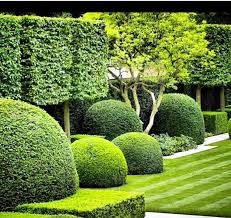 Shapes Of Topiary Landscape Design Garden Design Beautiful Gardens