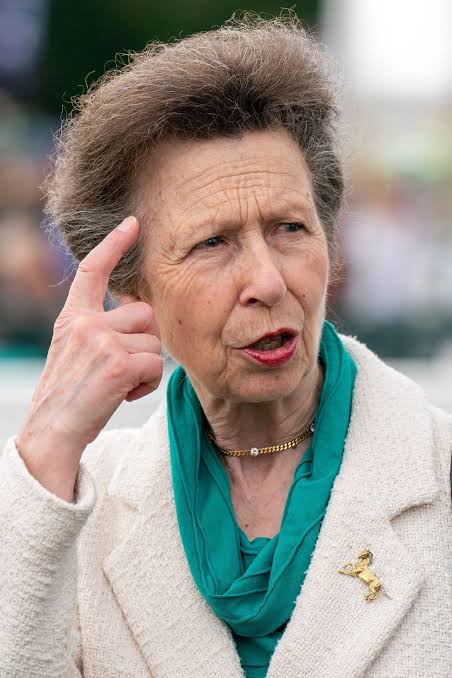 Princess Anne's stern warning to Meghan Markle | New Idea