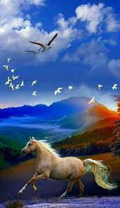 Pin By Edilma Peralta On Animals Beautiful Nature Pictures Nature Pictures Horse Wallpaper