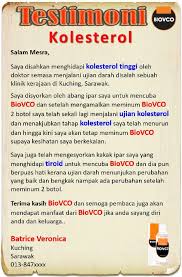 Kondisi ini bisa menyebabkan berbagai masalah yang umumnya mengancam keselamatan jiwa. Makanan Punca Kolesterol Tinggi