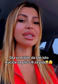 Kucica za pticu ili psa: Šta vi mislite?