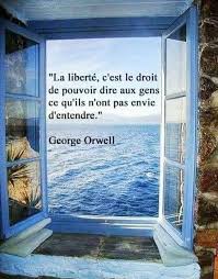 La Liberte C Est Le Droit De Pouvoir Dire Aux Gens Ce Qu Il N Ont Pas Envie D Entendre George Les Beaux Proverbes Les Plus Beaux Proverbes Citation Liberte