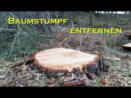 Ein Einfaches Und Gunstiges Hausmittel Um Hautanhangsel Loszuwerden Youtube Baumstumpf Entfernen Baumstumpf Holzideen Garten