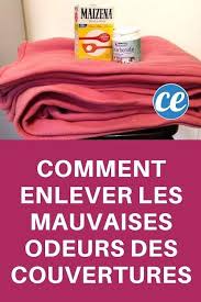 Couverture Qui Sent Le Renferme Utilisez Du Bicarbonate Pour Faire Disparaitre Les Odeurs Astuce Menage Mauvaise Odeur Trucs Et Astuces Maison