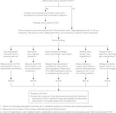 Diagnosis And Treatment Of Polycystic Ovary Syndrome