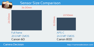 Canon 6d Vs Canon 80d Sensor Size Comparison Nikon D5500