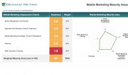 Companies create a mobile app business plan for a number of reasons. Mobile Marketing Plan Playbook Demand Metric