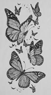 Realistic Monarch Butterfly Drawing Hand drawn flying and sitting butterflies set. realistic monarch butterfly drawing