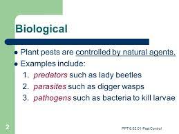 Biological control agents natural enemies of insect <b>pests, also known as biological control agents, include predators, parasitoids, and pathogens. Ppt Methods Of Pest Control Ppt Video Online Download