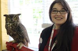 Celebrating 100 Years of the Elmwood Park Zoo with a Growl and a Hoot