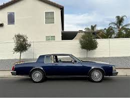 Image result for Rhone Blue 1983 Colt