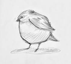 Pin On Daily Sketches