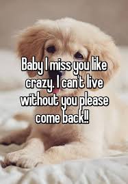Baby I Miss You Like Crazy I Can T Live Without You Please Come Back
