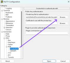 Connecting to your Cloud Server – Documentation