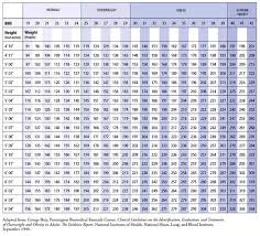 Nasm Body Fat Chart History Of Study And Education