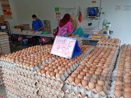 Check spelling or type a new query. Peruncit Didakwa Naikkan Harga Telur