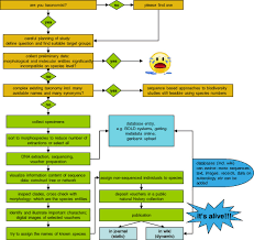 Flow Chart Of The Turbo Taxonomy Approach From Project