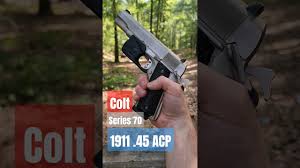 Image result for Warm White 1979 Colt