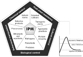 This information, in combination w. Control Tactics Used In Ipm Integrated Pest Management Modified Download Scientific Diagram