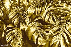Download Premium Image Of Golden Textured Monstera Deliciosa Leaves 576648 Golden Texture Leaf Texture Gold Texture Background