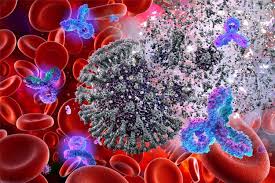 Mechanism of action and effects. Fda Approves Sotrovimab For Emergency Use In Treating Covid 19