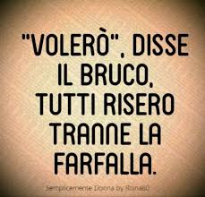 Volero Disse Il Bruco Tutti Risero Tranne La Farfalla Metamorfosi Citazioni Sagge Citazioni Motivazionali Citazioni
