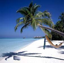 Sip wine on the north fork, party in the hamptons, and learn to surf in montauk—long island is. Beauty Island By Dicklesshunter On Deviantart