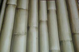 Inspirasi Baru 40 Jual Keramik Dinding Motif Bambu
