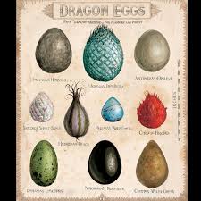If you adopted the welsh green already, your character will mention it. Harry Potter Dragon Eggs