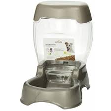 10 Best Automatic Cat Feeders Food Dispensers Of 2019