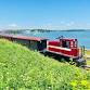 Scenic Train Ride