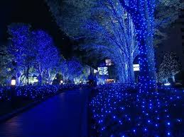 Blue Light Cool Blue Light Technology Other Hd Art Cool Blue Light 480p Wallpaper Christmas Lights Wallpaper Christmas Wallpaper Free Christmas Wallpaper