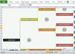 Excel Icin Family Tree Sablonu