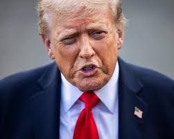 Wild Lily by Kathy Peyton