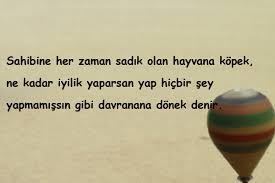 Donek Insanlara Soylenecek Sozler Donek Insanlara Sozler Donek Insanlarla Ilgili Sozler Donek Insanlara Kufurlu Sozler Donek Kisilerle Ilgil Insan Guzel Soz