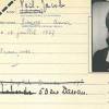 Simone veil's most popular book is the bielski brothers: 3
