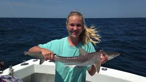 Maybe you would like to learn more about one of these? Catching Spiny Dogfish Sharks Ep 1 Youtube