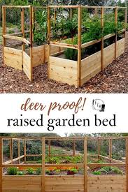 Stunning Vegetable Garden Ideas Family Food Garden Vegetable Garden Design Vegetable Garden Beds Raised Garden Bed Plans