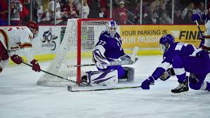 Brian Wilson 2019 20 Mens Ice Hockey Niagara