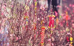 .nguyên đán mậu tuất năm 2018 được bộ lđtb&xh đã thống nhất, qua đó người lao động được nghỉ tết âm lịch 2017 trong 7 ngày. Hot Lá»‹ch Nghá»‰ Táº¿t DÆ°Æ¡ng Lá»‹ch Va Táº¿t Nguyen Ä'an 30 4 Va 1 5 NÄƒm 2019