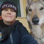 10 Migliori Pensioni per Cani a Volvera