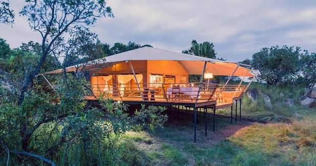 Serengeti Bushtops